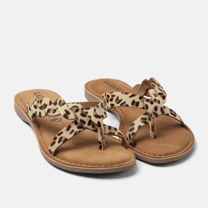 Avi Damen Zehentrenner Leopard